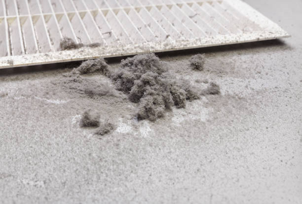 Best Home Air Vent Cleaning  in South St Paul, MN
